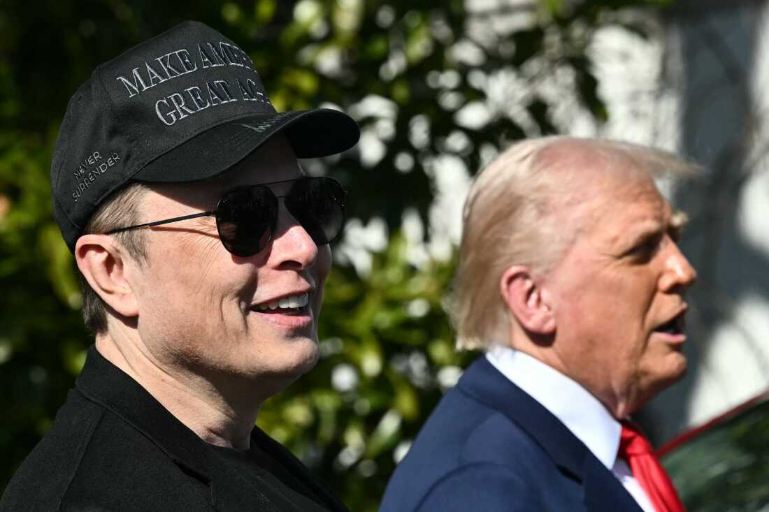 President Donald Trump and Tesla CEO Elon Musk speak to the press at the White House on March 11.