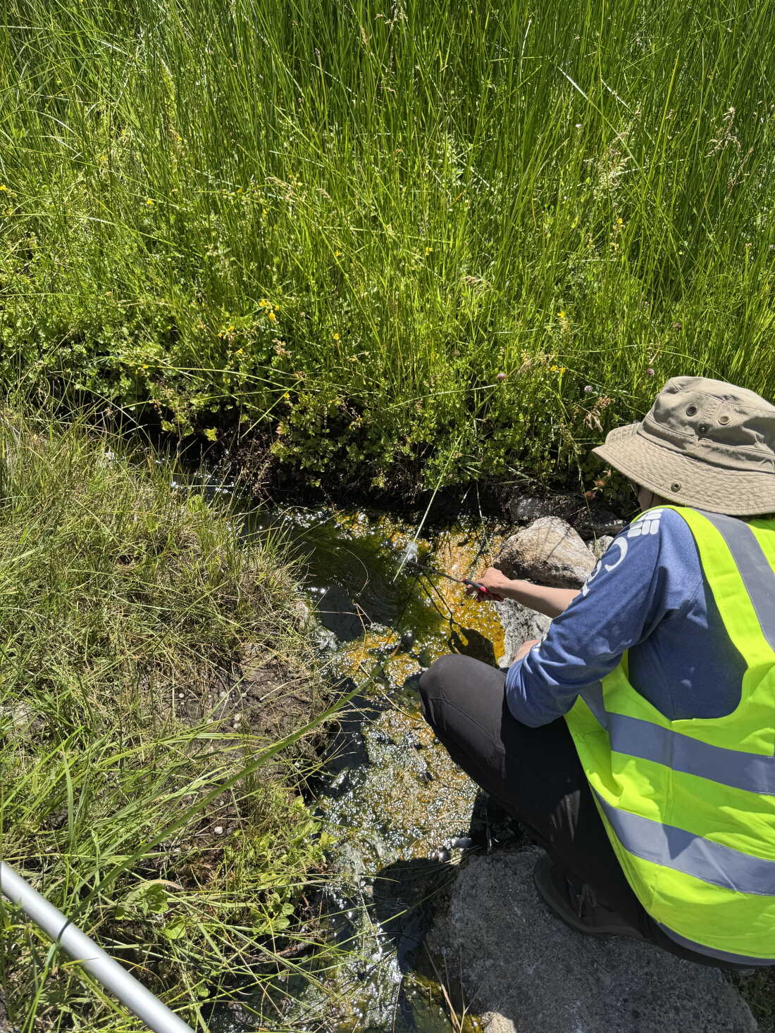 Beryl Rappaport takes samples from Hot Springs Creek tributary in Lassen Volcanic National Park in northern California.