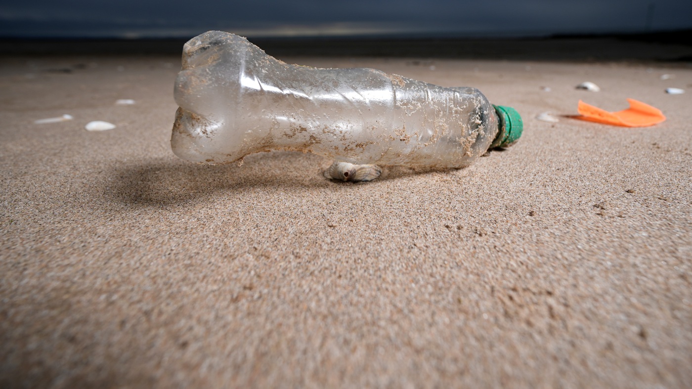 Plastic waste is everywhere. Countries have one more chance to agree on a solution Plastic waste is everywhere. Countries have one more chance to agree on a solution