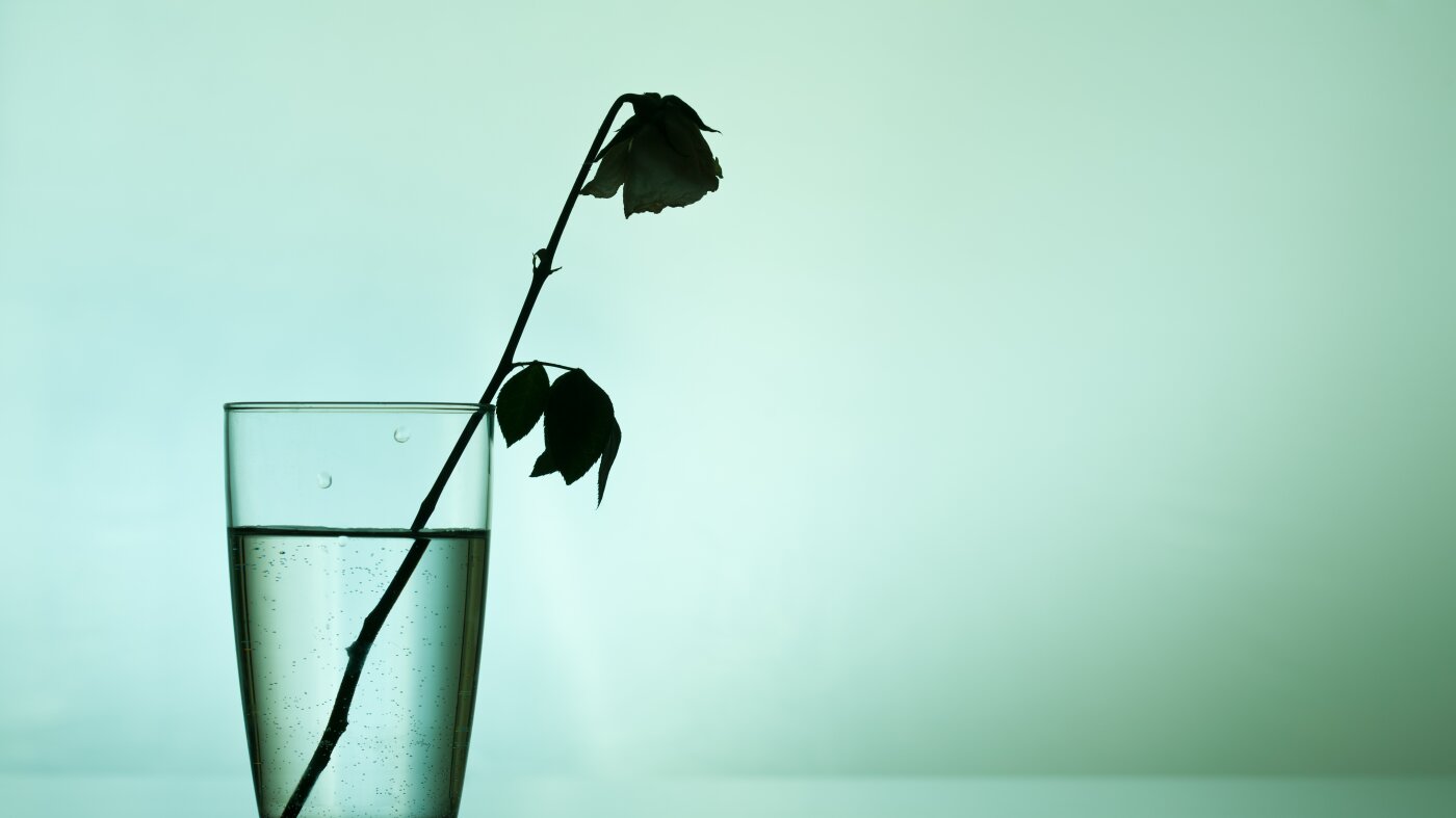 Dear Life Kit: My friend kissed me and I liked it. Now he wants to take it back!