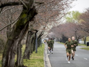 Hains Point is part of the course of several major road races, including the Credit Union Cherry Blossom ten-mile run each April and the Marine Corps Marathon every October.