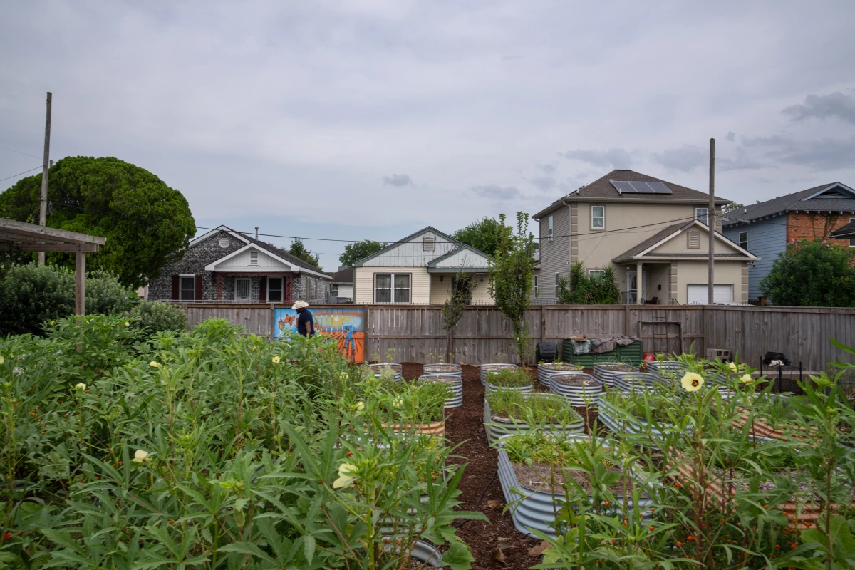 The Sankofa vegetable farm in the Lower Ninth Ward was a vacant lot before being turned into a useful urban farming area.