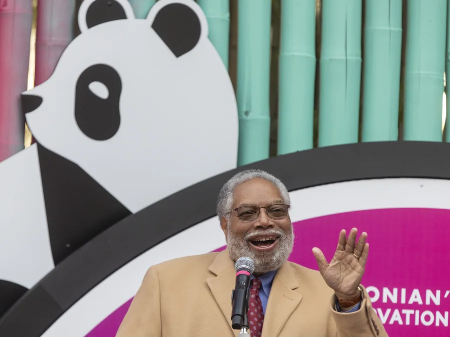Smithsonian head resigns