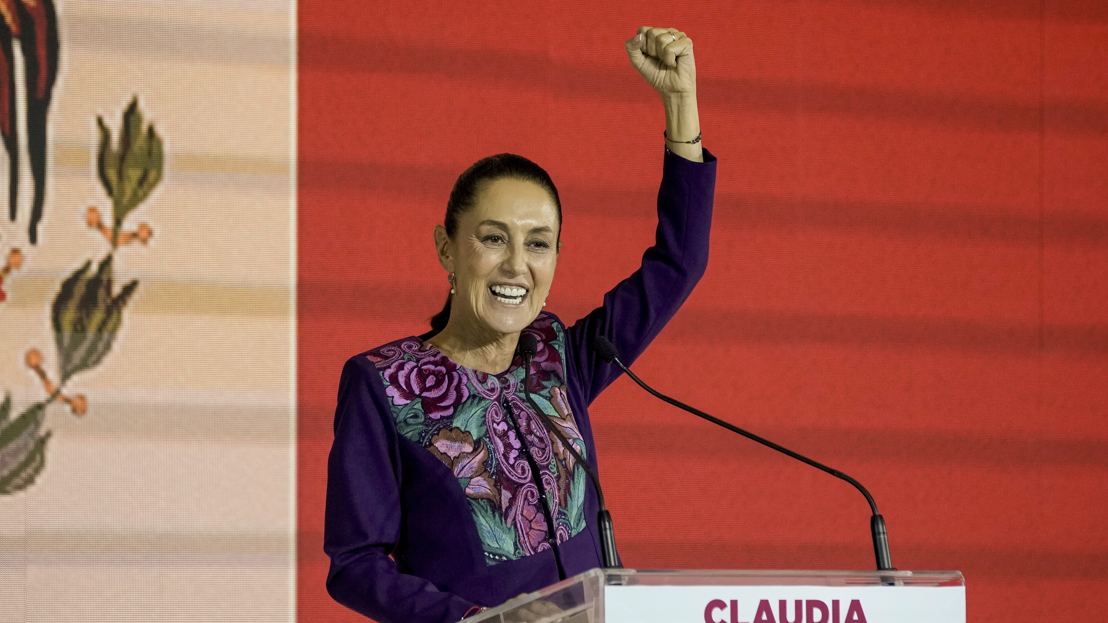 Claudia Sheinbaum addresses supporters after the National Electoral Institute announced she held an irreversible lead in the election in Mexico City, early Monday, June 3.