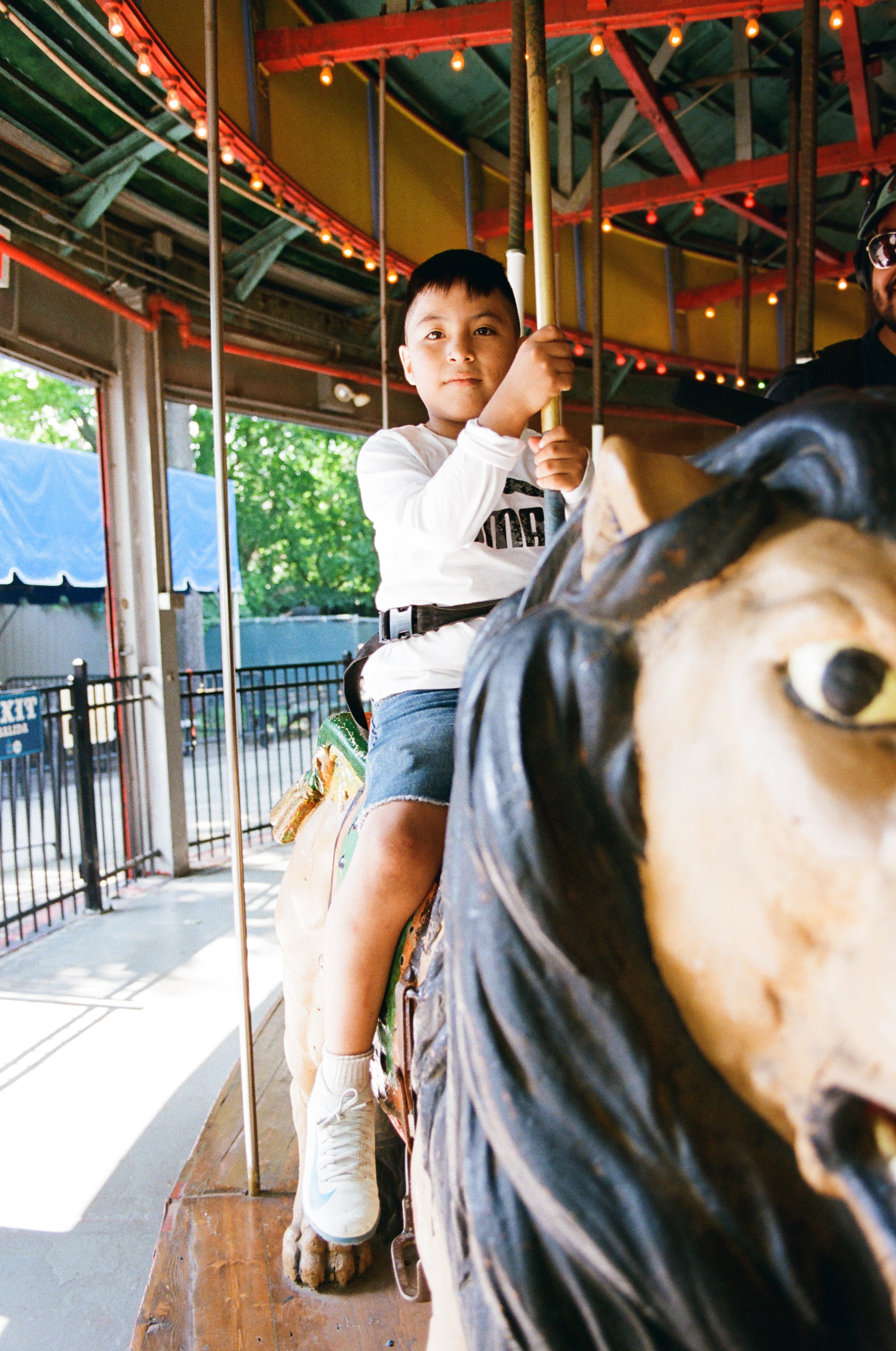 8-year-old tames (wooden) lion in Queens, New York