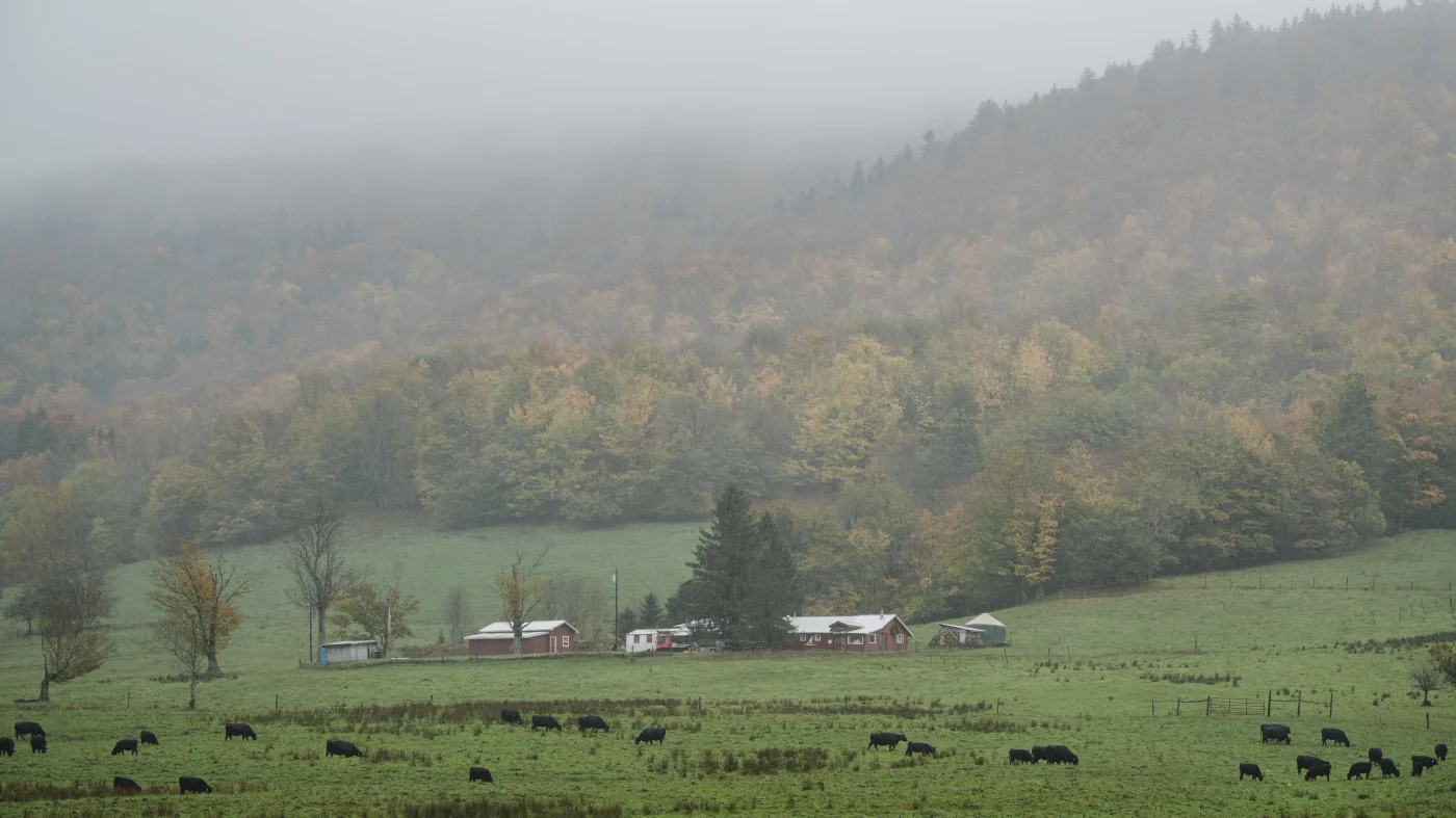 Plans for a data center threaten scenic wilderness and dark skies in West Virginia