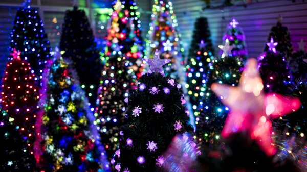 rtificial Christmas trees stand in a display room at Sun Xudan's Christmas tree factory in Yiwu, China, in 2016.