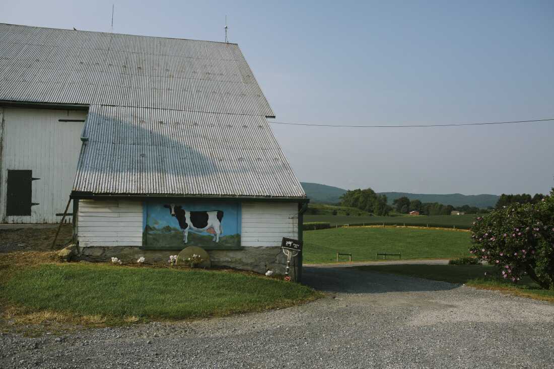 A black-and-white cow is painting on the side of a large white barn at Stamy Farms.