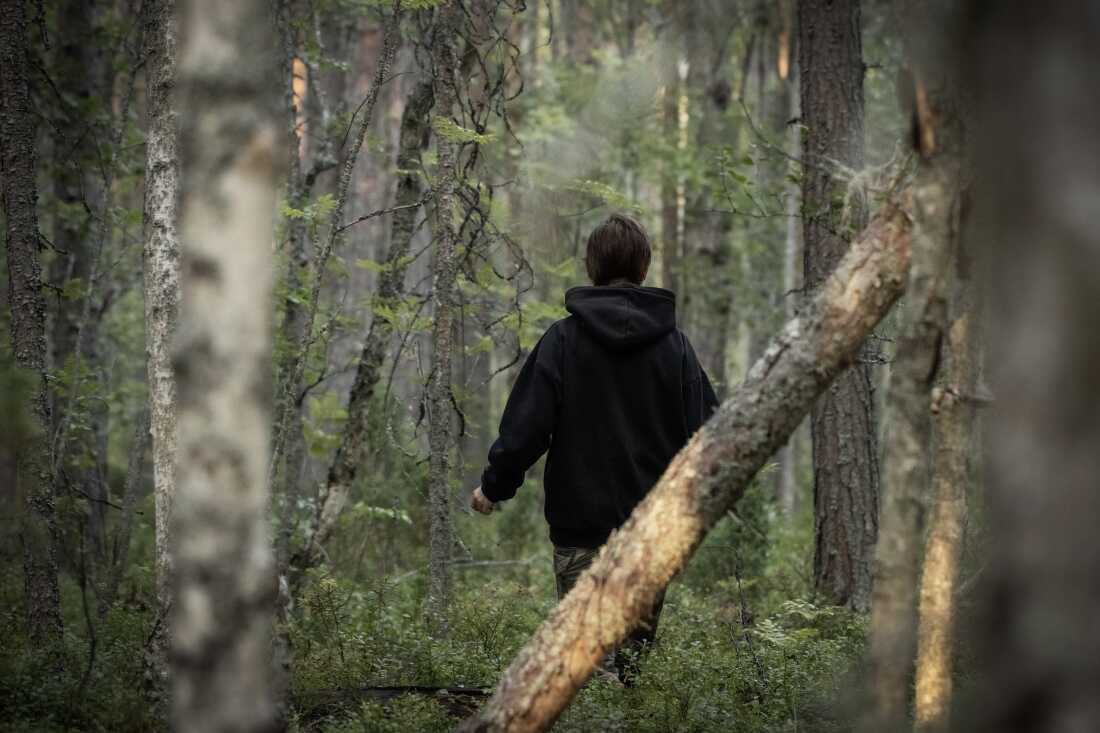 This photo shows a rear view of a person in black clothes walking into a tree-filled forest.