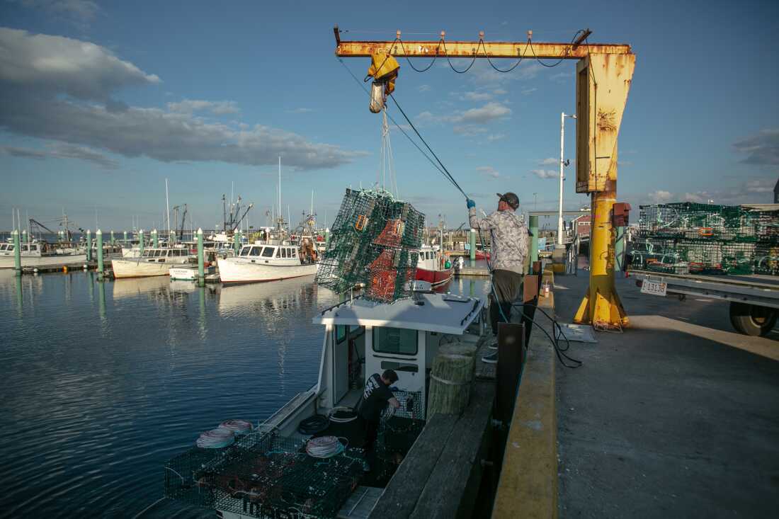 A fisherman uses a small crane to lower lobster traps onto a boat at MacMillian Pier in Provincetown. There are many boats nearby.