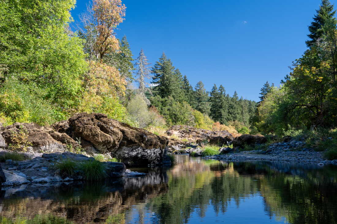 This area of the Row River near Culp Creek, Ore., is known for being the filming location of the train crash scene from the Buster Keaton silent film "The General." (Krista Rossow for NPR)