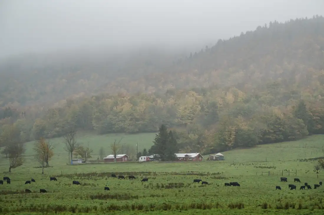 White Grass Ski Touring Center in Canaan Valley , W.Va., is celebrated for its unusually curvy and hilly cross-country skiing terrain.