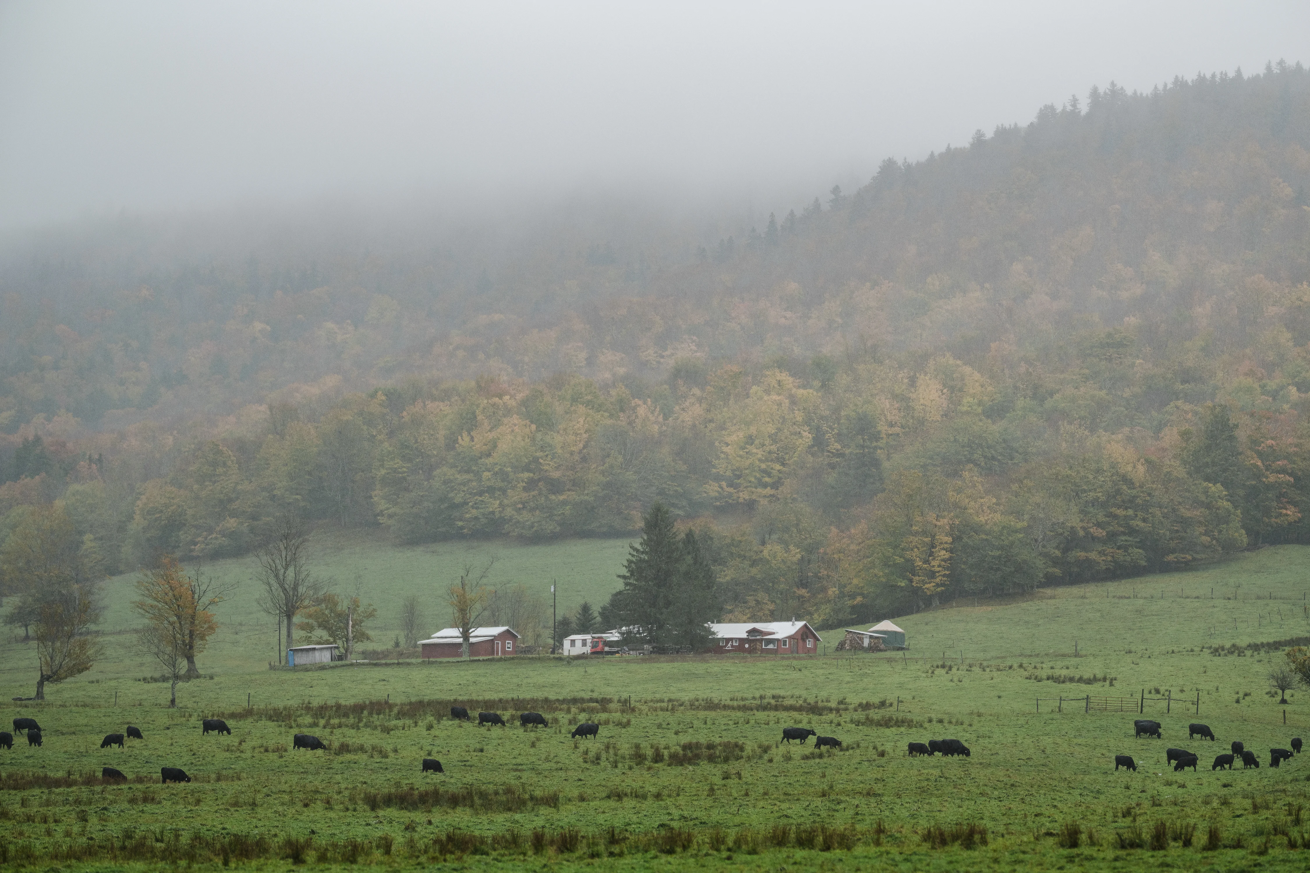 Plans for a data center threaten scenic wilderness and dark skies in West Virginia