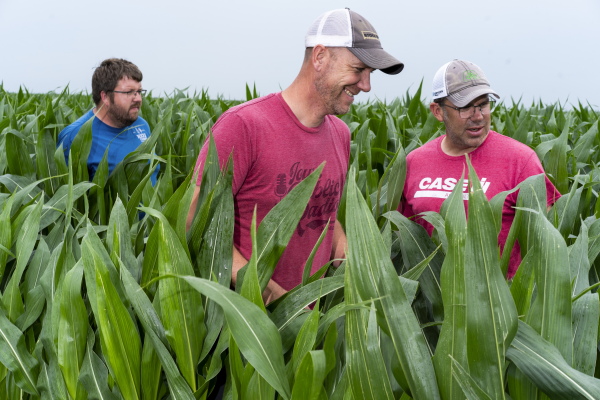 James Hepp, Zack Smith, and Matthew Bormann, known as the Lobe Rangers, examine one of Bormann’s fields near Bode, Iowa on July 1.