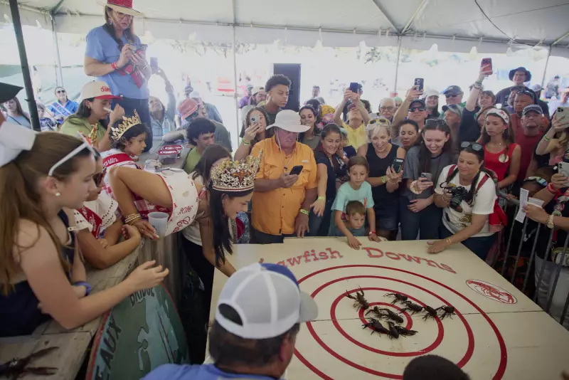 Attendees watch a crawfish race at the Breaux Bridge Crawfish Festival on May 2, 2026.