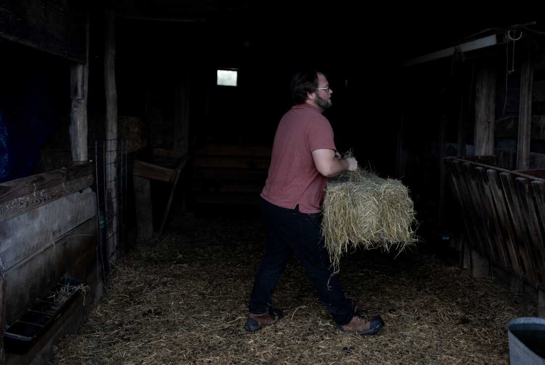 Andrew carries a hay bale in a barn as he prepares to feed their sheep.