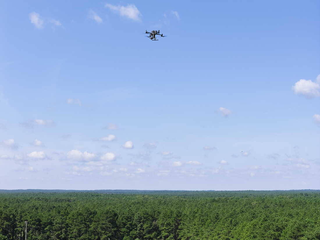 An aerial view of an Ocean County Sheriff's Office DJI M300T drone with a thermal-capable camera payload at the Ocean County Fairgrounds with the New Jersey Pinelands stretching into the distance, September 4, 2026. A propeller plane can be seen below and right of the drone. Albert Yee for NPR.