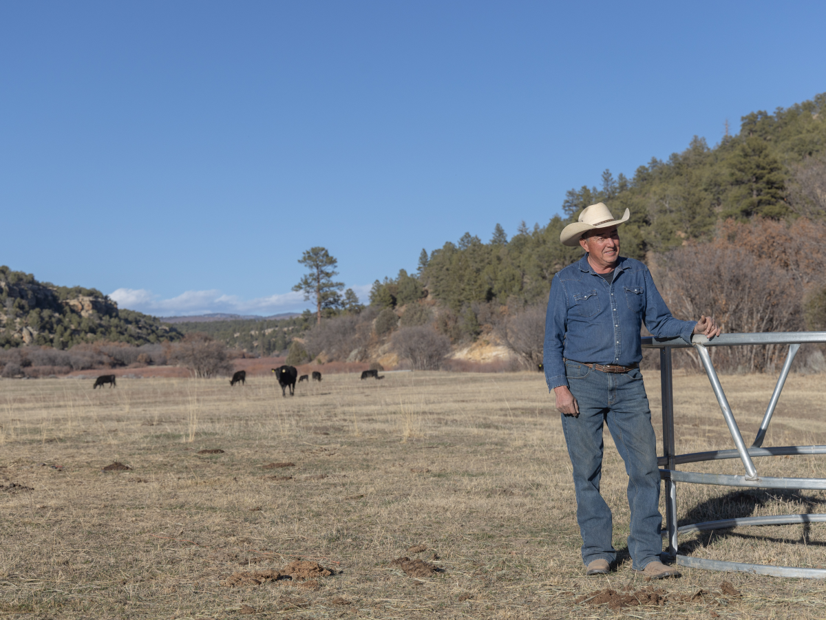 Norman Vigil with his cattle at his ranch in Canjilon, New Mexico (just north of Ghost Ranch) on March 11, 2026. Vigil leases grazing rights from Ghost Ranch, and runs his cattle on Ghost Ranch for part of the year.