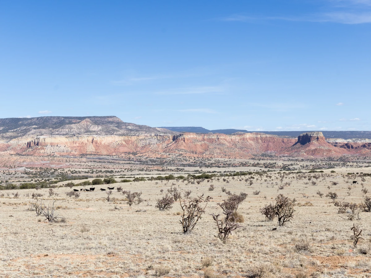 A view (looking east) of Ghost Ranch near Abiquiu, New Mexico, on March 11, 2026.