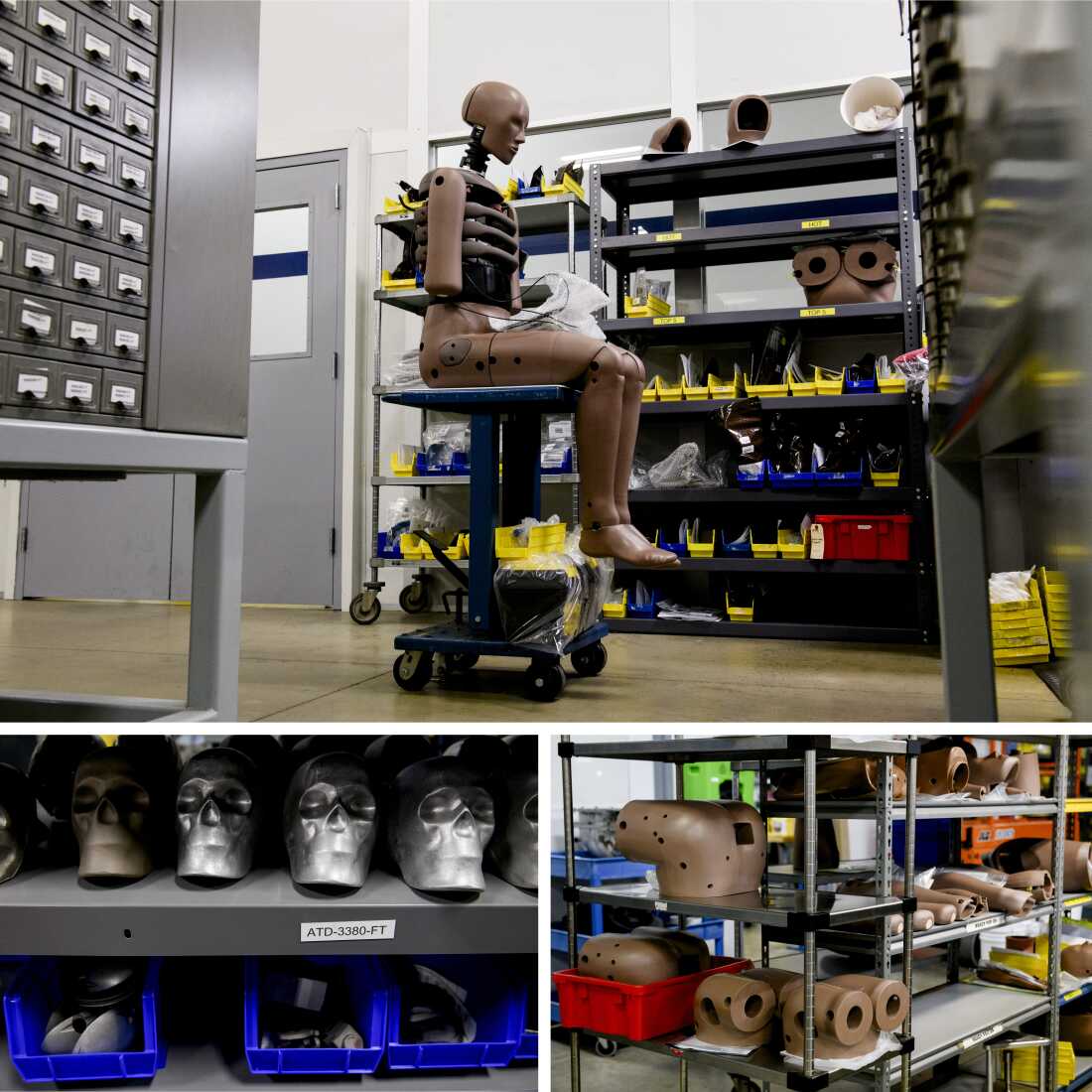 Pelvises and other body parts are stored on shelves.