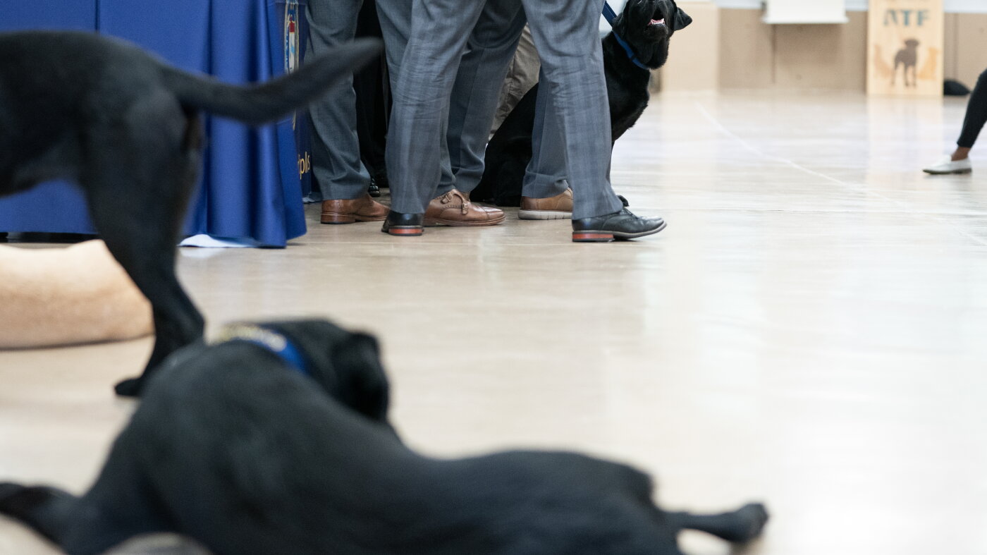 These best boys and girls just graduated from the ATF's National Canine ...