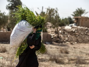 A woman carries freshly harvested grass for cattle as she walks in front of houses damaged by heavy fighting in the village of Baghouz in Syria's northern Deir Ezzor province, on March 24, 2021, where two years ago, ISIS fighters made their last stand before being defeated.