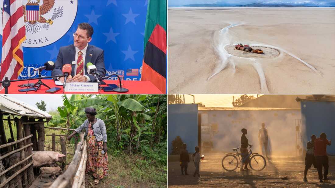 A diplomat’s tears, 200 snake bites, drone pix: Goats and Soda’s top stories in 2025 A diplomat’s tears, 200 snake bites, drone pix: Goats and Soda’s top stories in 2025