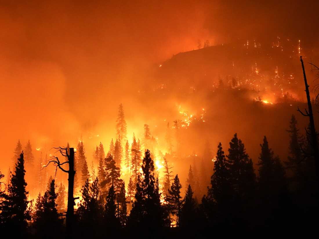 The Creek Fire in the Sierra National Forest in 2020.