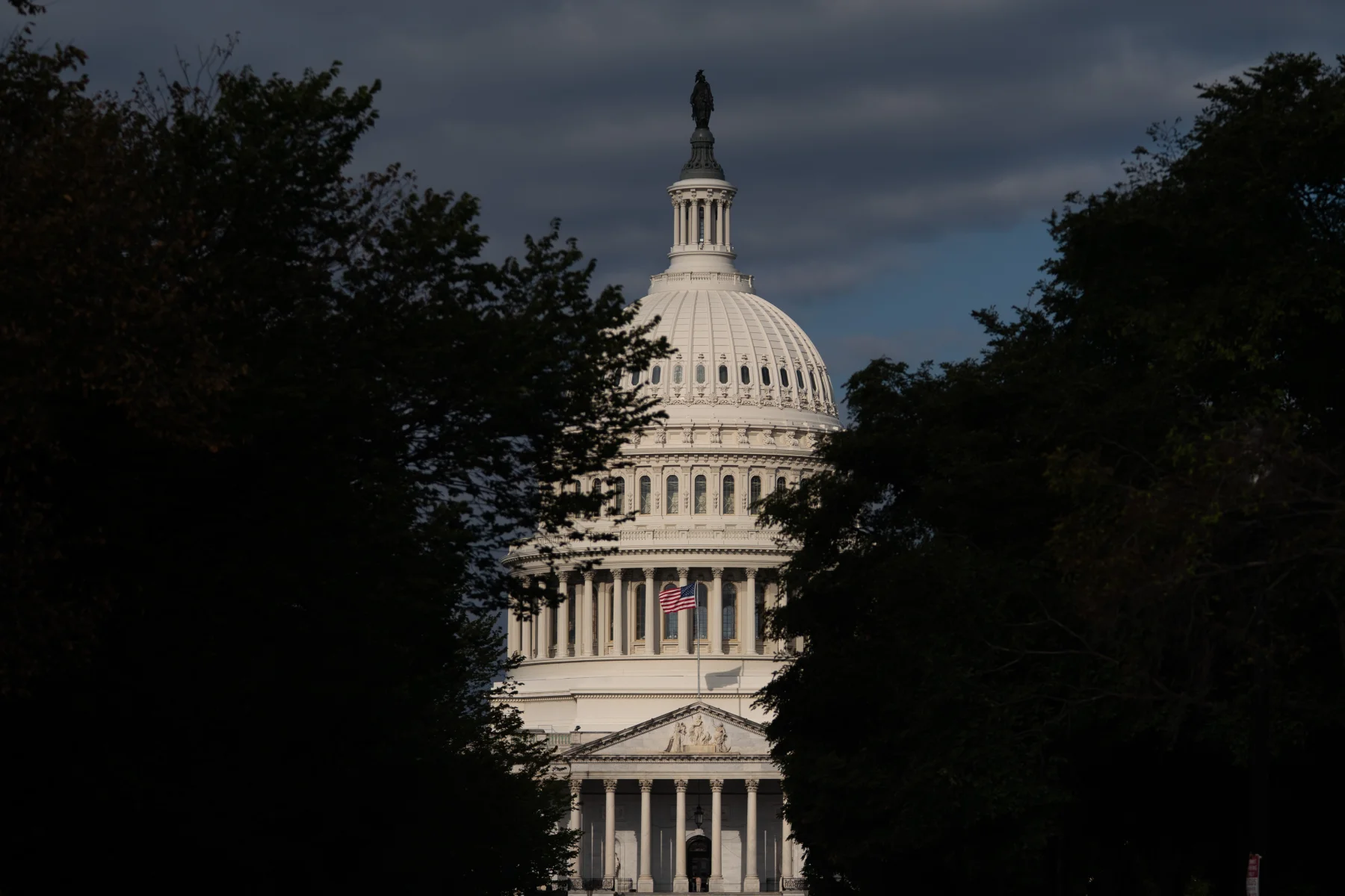 Democratic incumbents ousted by progressives