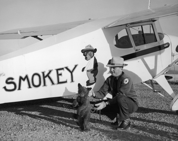 Smokey Bear turns 80 this year. Did he help prevent forest fires?