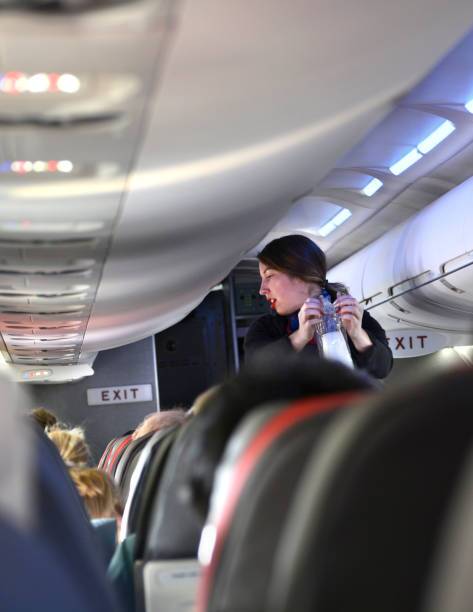 The U.S. Transportation Department is urging air passengers to be on good behavior