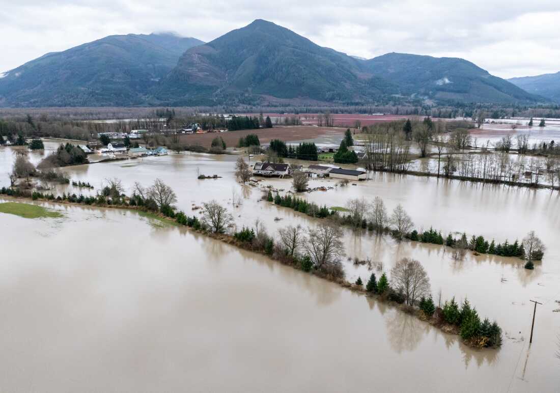 Water from the Skagit River floods farms and homes near Lyman, Wash., on Thursday.