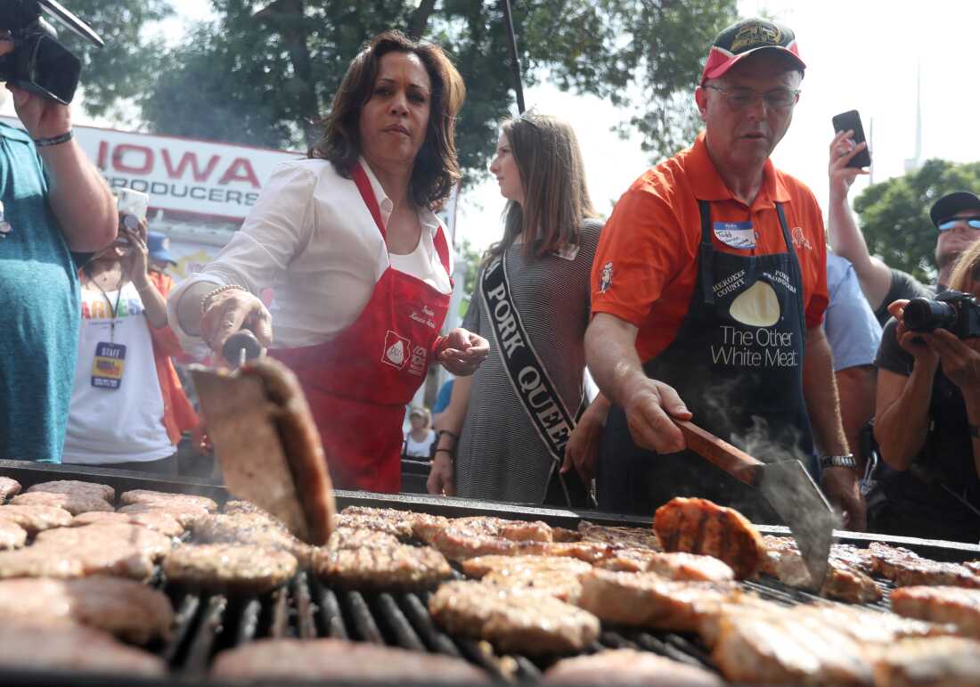 En esta foto, Kamala Harris, entonces senadora estadounidense y candidata presidencial demócrata, cocina hamburguesas de cerdo en la Feria Estatal de Iowa el 10 de agosto de 2019, en Des Moines, Iowa. Lleva un delantal rojo sobre una camisa blanca y usa una espátula para dar vuelta una hamburguesa en una parrilla frente a ella.