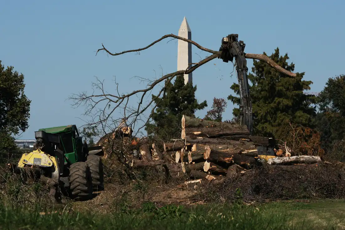 Workers remove downed trees from the East Potomac golf course on Monday.