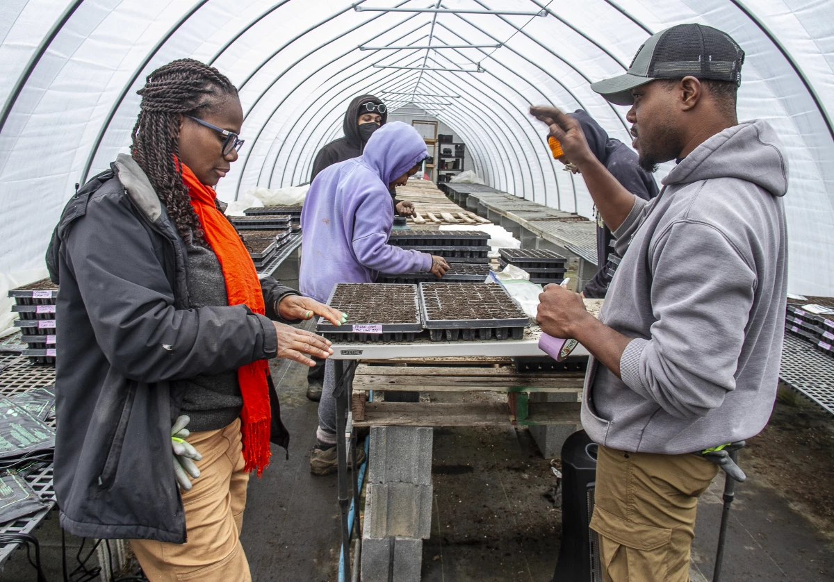 Farmer Gale Livingstone alongside volunteers Sydney Harris, Lewis Taylor, Emmani Phillips-Quigley and Jimi Palmer plant seeds at Deep Roots Farm in Upper Marlboro, Md.