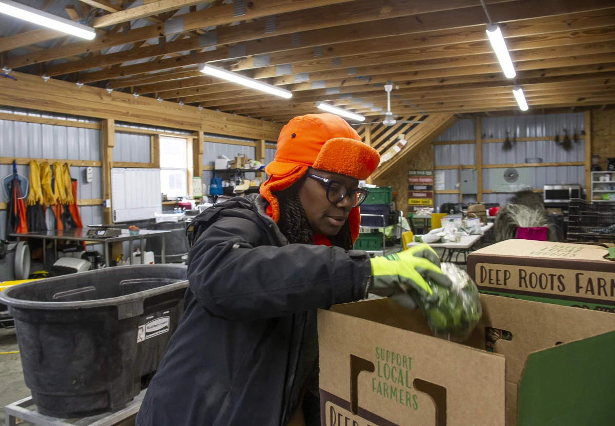 Farmer Gale Livingstone boxes harvested vegetables at Deep Roots Farm in Upper Marlboro, Md.