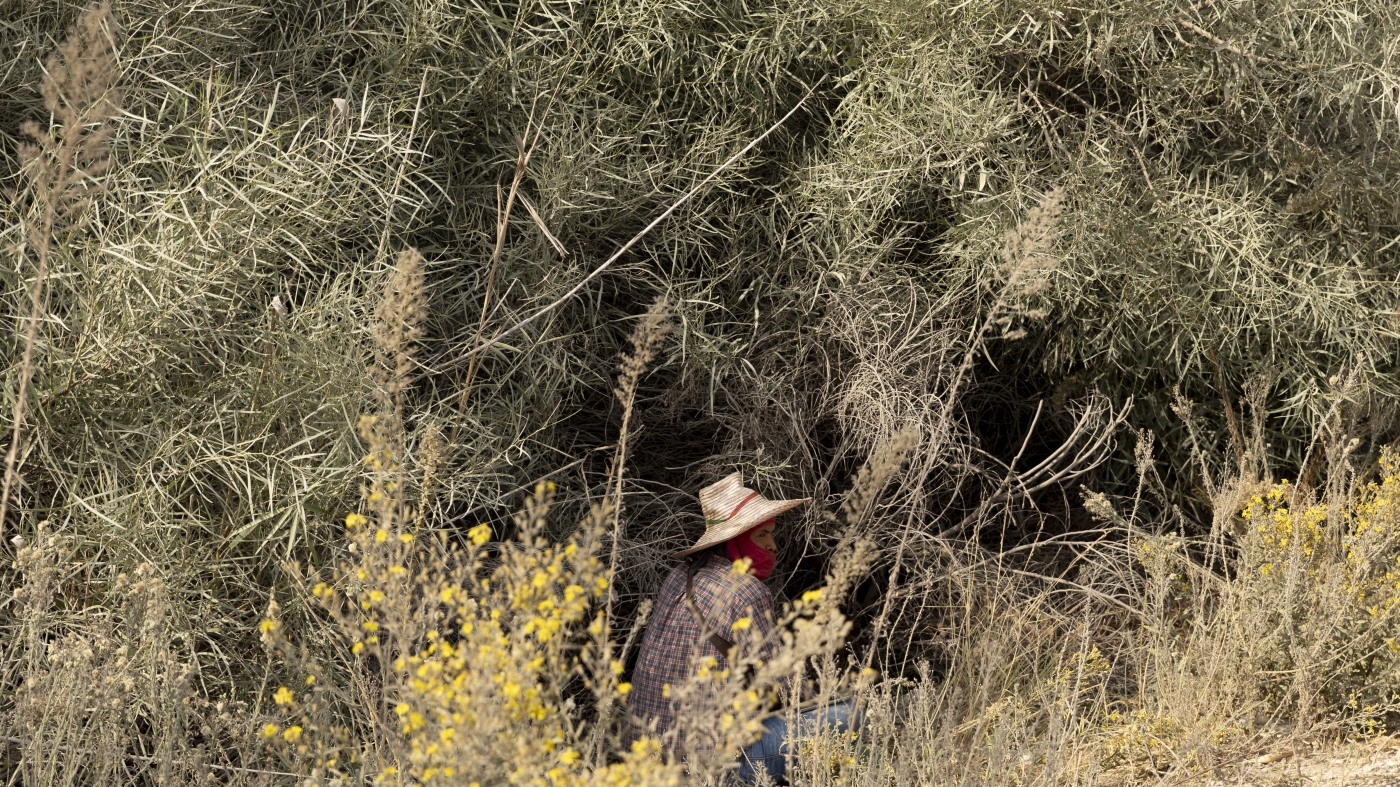 In northern Israel, migrant workers are farming while under fire from Hezbollah In northern Israel, migrant workers are farming while under fire from Hezbollah