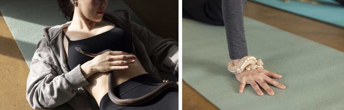 A snake slithers across Kristen Bender; a ball python is wrapped around another Snake Yoga attendee's wrist.