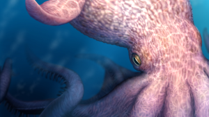 A sketch of the giant octopus.