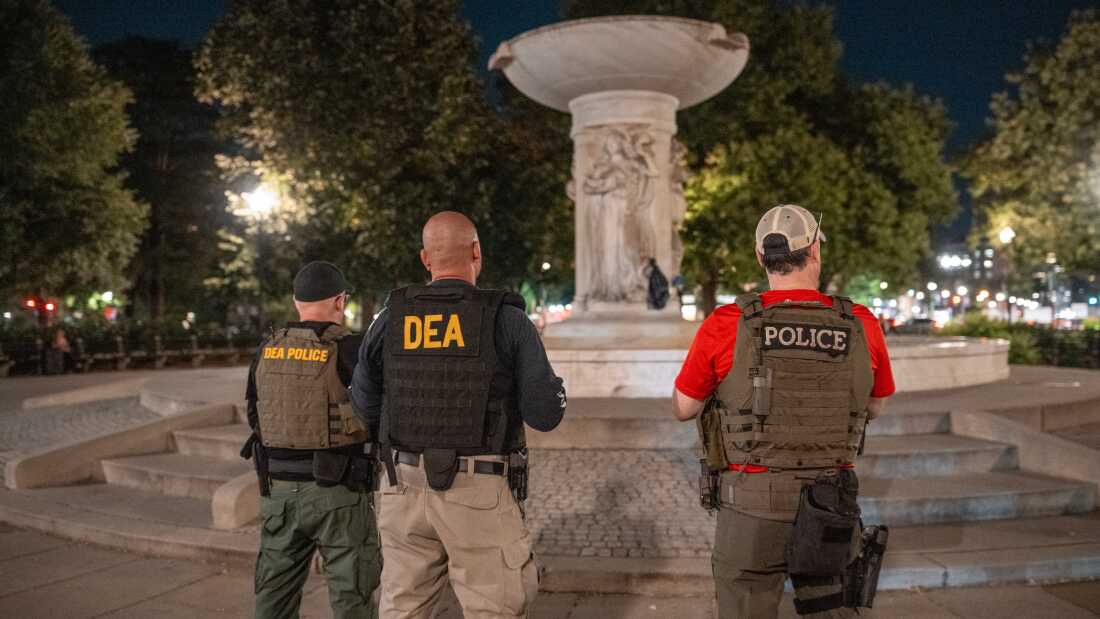 Drug Enforcement Agency (DEA) agents stand guard in Dupont Circle as part of a federal law enforcement deployment to the nation's capital on August 10 in Washington, D.C.