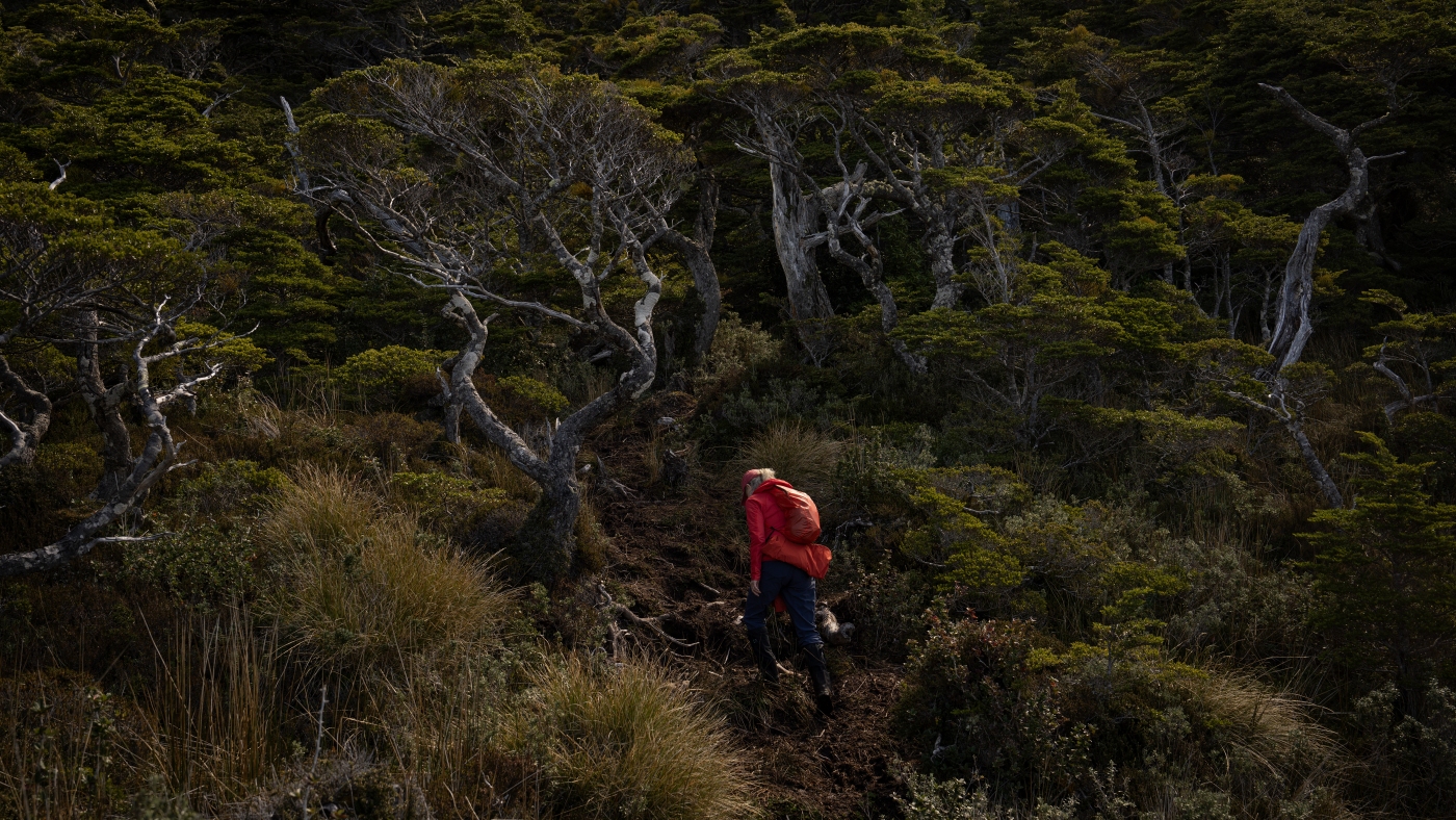 How one U.S. conservationist's work is helping to preserve Chile's wilderness How one U.S. conservationist's work is helping to preserve Chile's wilderness