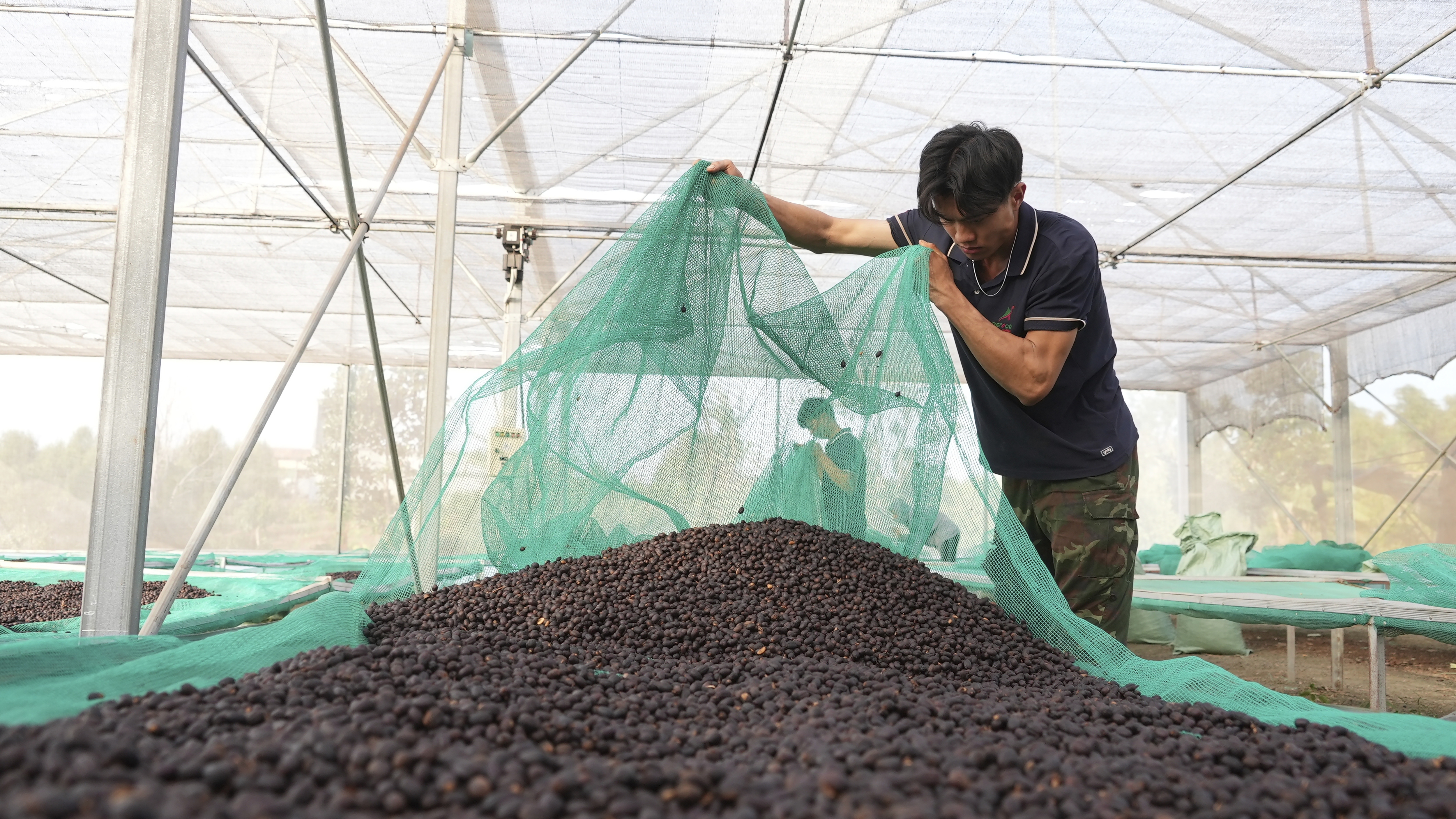 Workers dry coffee beans at a coffee factory in Dak Lak province, Vietnam, on Feb. 1, 2024.