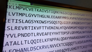 Close-up of letters displaying a portion of the genetic sequence of the novel Coronavirus which infected people beginning in Wuhan, China in 2020, on a computer screen, San Ramon, California, January 29, 2020. The release of the genetic sequence of the virus is a key step towards developing vaccines and other treatments.