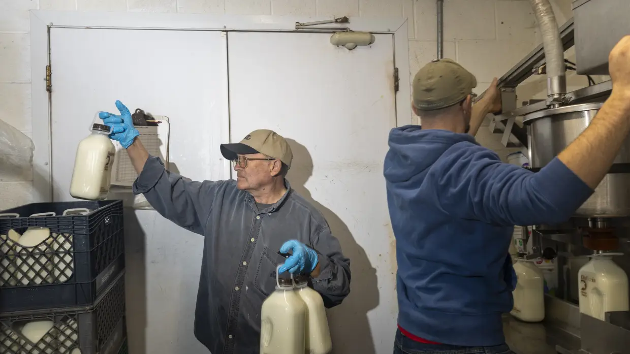 Trump's immigration push has largely spared farms. Idaho dairymen worry it won't last.