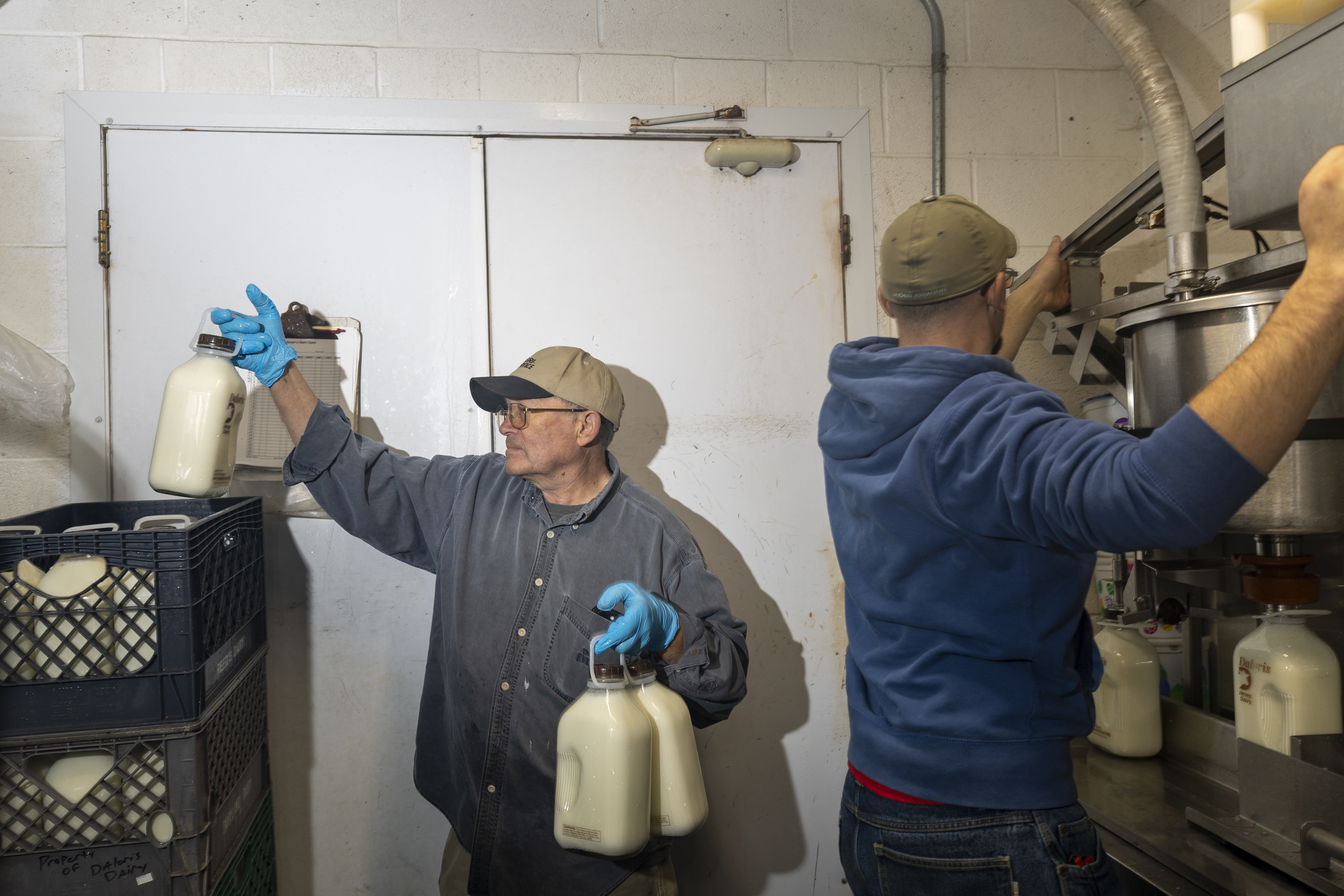 Dale Mortimer, left, and his son Brett fill milk jugs at Daloris Dairy, a dairy farm in Rigby, Idaho on November 25, 2024.