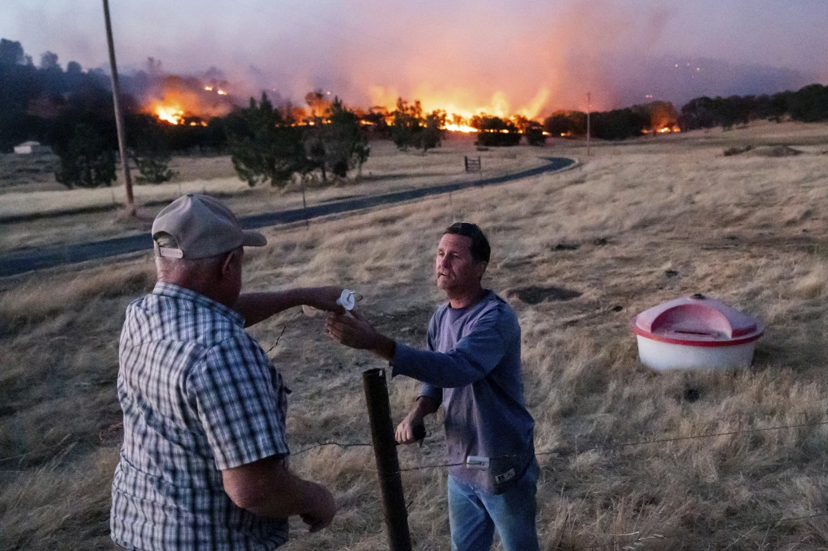 A rancher reconnects a fence after tending to cattle as the Aero Fire burns in Calaveras County, Calif., in June 2024. (AP Photo/Noah Berger)