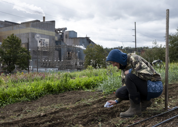 Seeds are planted at Sol Patch Garden in Braddock, Pa., on Oct. 16, 2024.