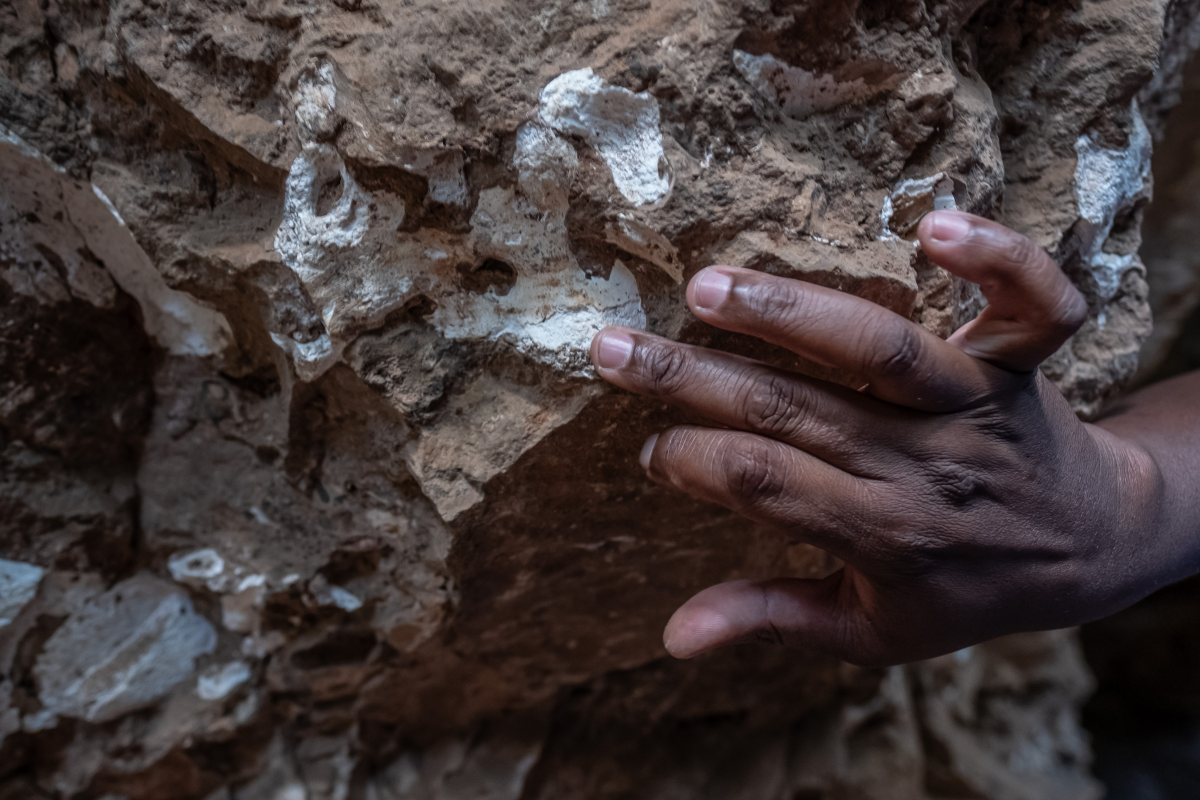 Kgasi searches for the fossilized bones of the animals that once shared the landscape with our ancestors. To know how they once lived, he says it's essential to understand the world they inhabited.
