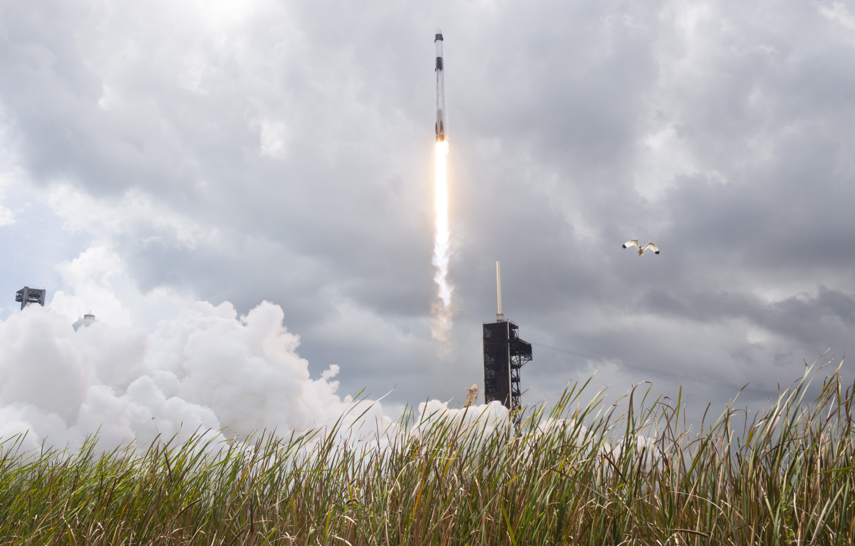 NASA's Crew-11 is shown taking off on a SpaceX rocket from the Kennedy Space Center in Florida last August for the International Space Station. NASA decided to end the mission and return to Earth a month early because one of the four members has an undisclosed medical condition.