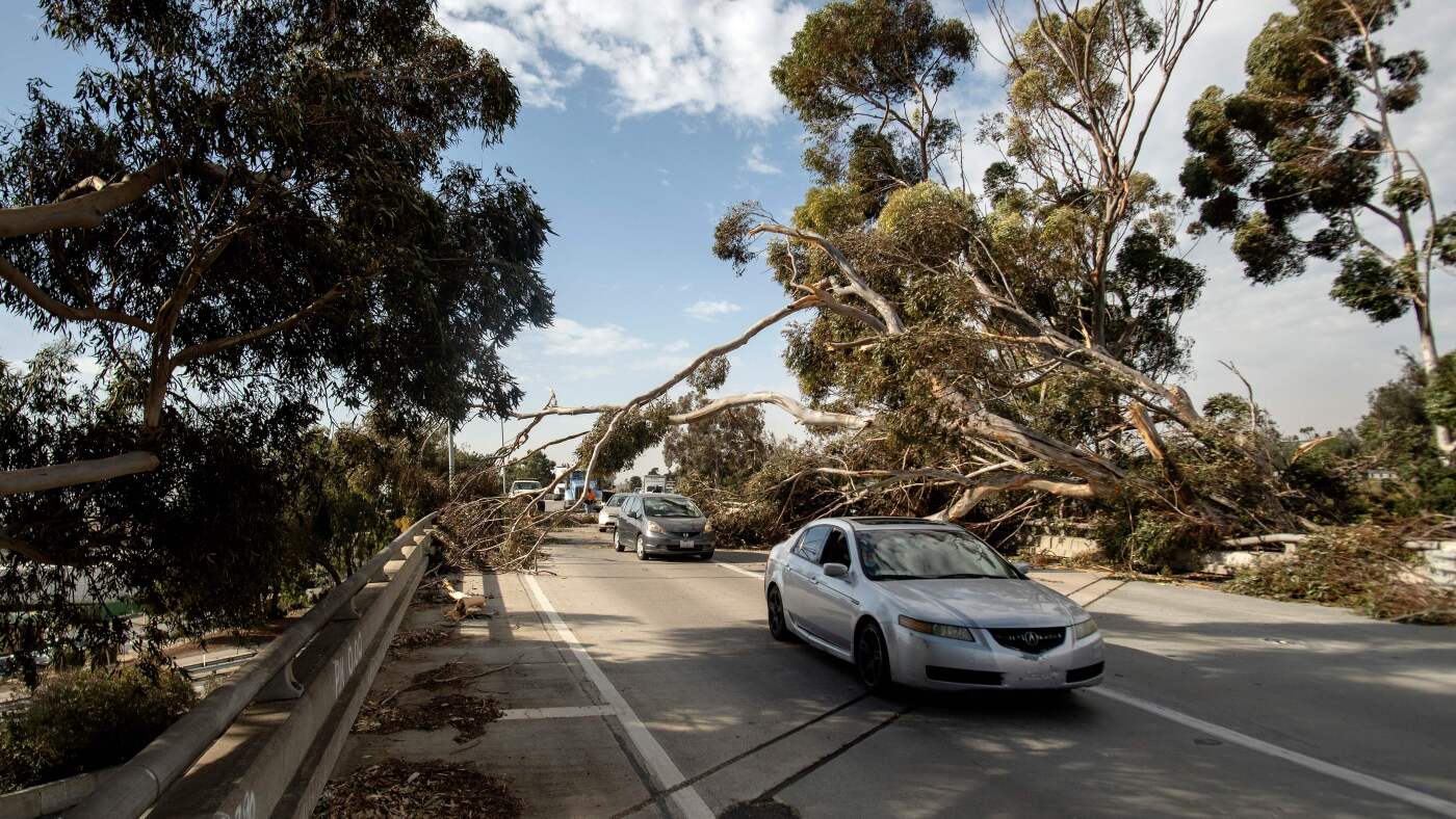 إليك ما يجب فعله إذا كنت تقود السيارة في الرياح الشديدة أو الأعاصير أو العواصف الترابية إليك ما يجب فعله إذا كنت تقود السيارة في الرياح الشديدة أو الأعاصير أو العواصف الترابية